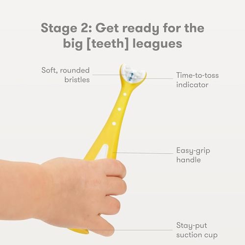 Frida Baby Grow-with-Me Baby Toothbrush Training Set | Infant to Toddler Toothbrush 0-12 months, Cleans All Sides at Once, Oral Care for Sensitive Gums | Yellow - 2 Count (Pack of 1) - Grow-with-Me Training Toothbrush Set (6M+)