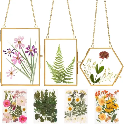 Double Glass Frame for Pressed Flowers - w/Real Dried Flowers and Tweezer for Handicrafts, Photo, or Other Small Flat Items