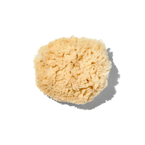 Natural "Wool" 5-6" Sea Sponge