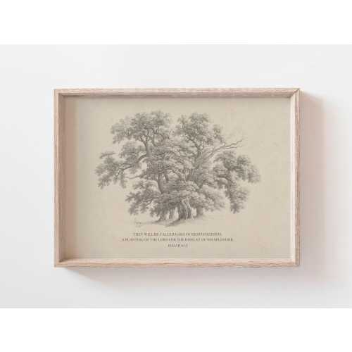 Isaiah 61:3 Oaks of Righteousness Bible Verse Wall Art Poster/Canvas, Rustic Vintage Christian sketch drawing landscape Scripture Quote