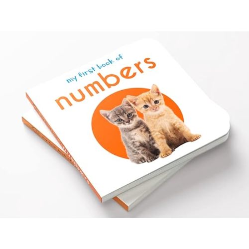 My First Book of Numbers