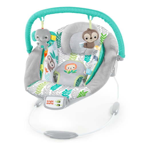 Bright Starts Jungle Vines Vibrating Bouncer Chair for Newborn, Baby Girl with Musical Toy Bar & Taggies