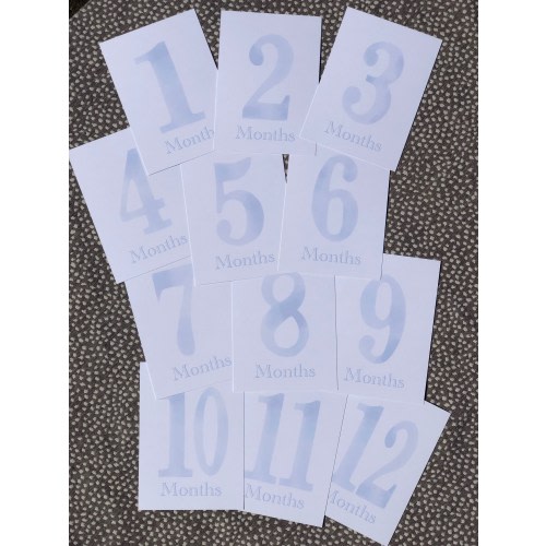 Baby Boy Monthly Milestone cards