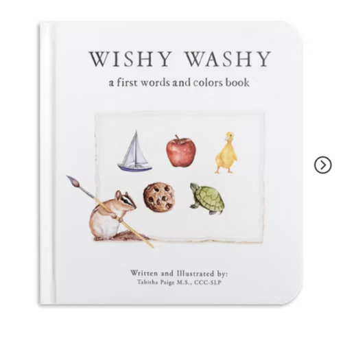 Wishy Washy: A Board Book of First Words and Colors for Growing Minds