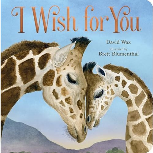 I Wish for You Board book – Picture Book, November 14, 2023
