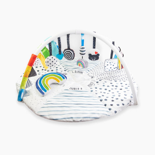 Sassy Milestone Activity Gym