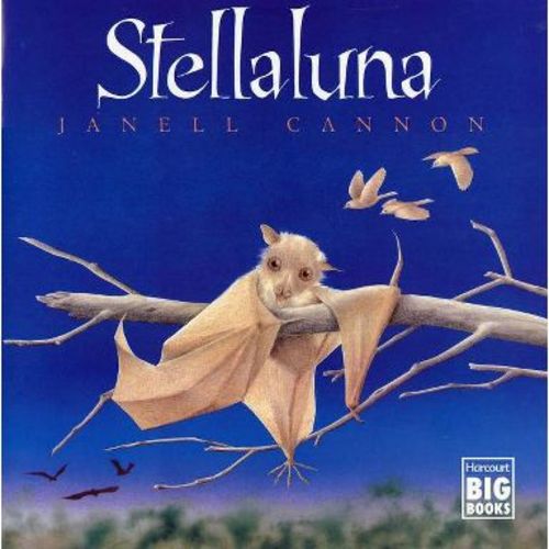 Stellaluna - (Harcourt Brace Big Books) by Janell Cannon (Paperback)