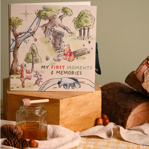 Disney Winnie the Pooh First Year Record Book