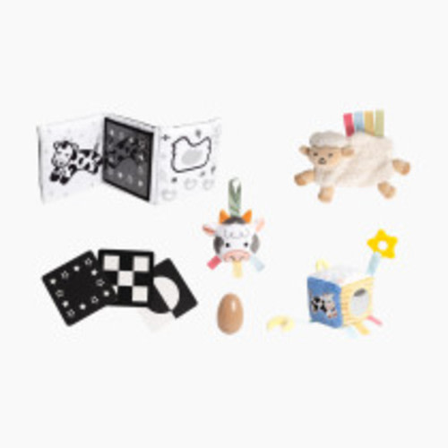 Pearhead 0-6 Months Baby Learning Toys Set