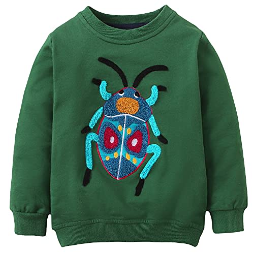 Bumeex Toddler Boy's Kids Crewneck Pullover Sweatshirts 2-7Year