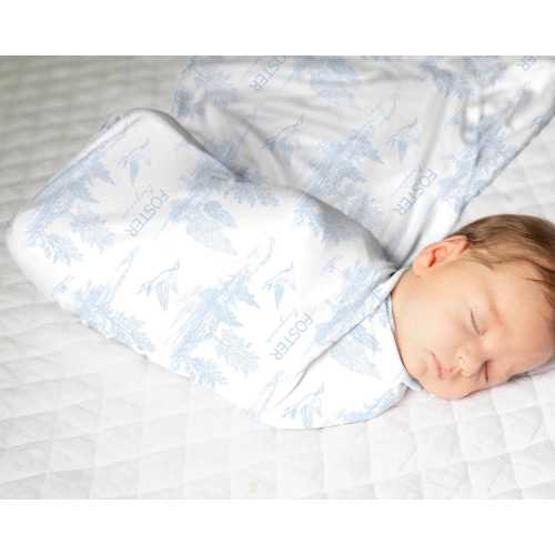 Personalized Baby Boy Swaddle Set: Mallard Duck Toile Blanket and Hat