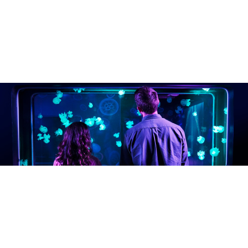 SEA LIFE Membership at the New Jersey Aquarium | Now Available