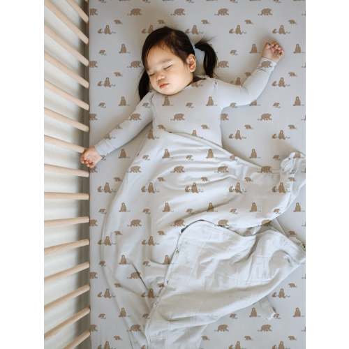 Crib Sheet - Teddies