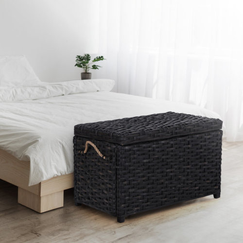 happimess Wicker Trunk & Reviews | Wayfair