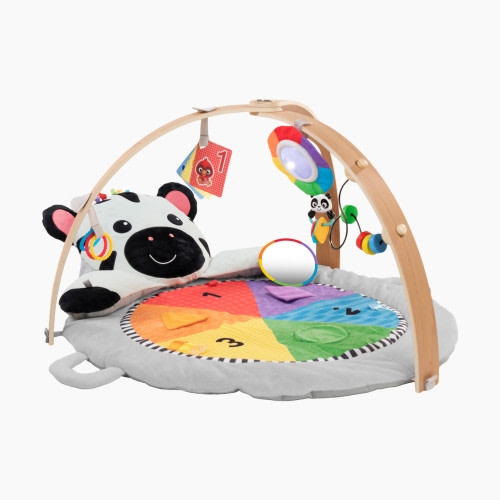 Baby Einstein Zen's Activity Milestones Plush Gym