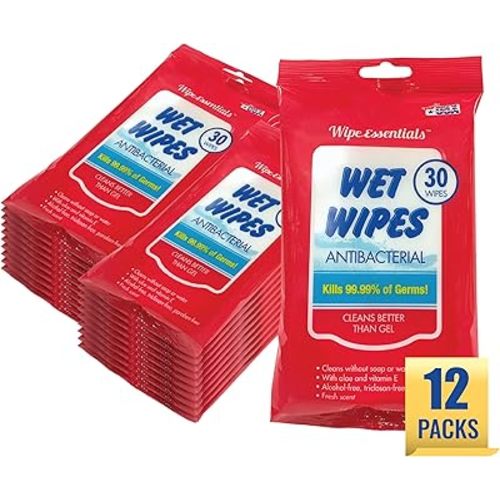 WipeEssentials Hand Sanitizer Wipes, Hand Wipes for Adults and Kids - 360 wipes - 12 Packs of 30ct Hand Sanitizing Wipes, Travel Essentials