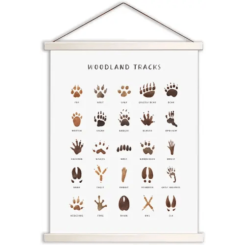 Woodland Tracks Hanging Poster, Canvas Artwork Woodland Nursery Decor 16x20 Inch, Animal Tracks Field Guide Sign, Forest Nursery Decor, Boy Nursery Wall Decor, Jungle Nursery Decor For Kids