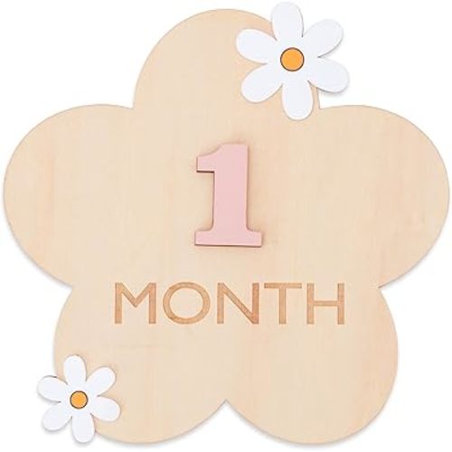 Daisy 3D Baby Monthly Milestone, Wooden Baby Milestone Signs, Monthly Milestone Wood Discs, Baby Milestone Discs (3D Flower)
