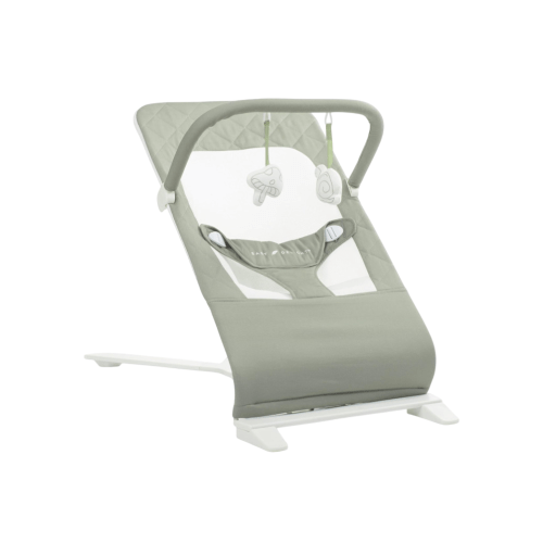 Baby Delight Alpine Deluxe Portable Bouncer, Organic Sage