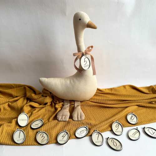 Baby Milestone Marker Nursery Decor Milestone Baby Sign