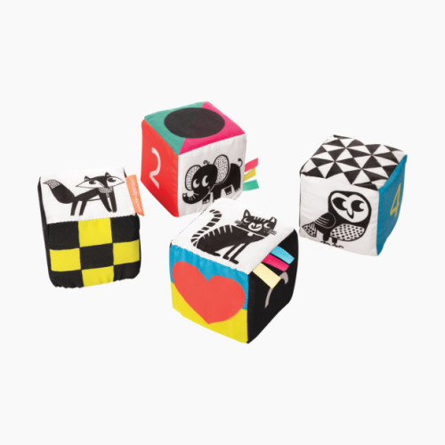 Manhattan Toy Wimmer-Ferguson Mind Cubes
