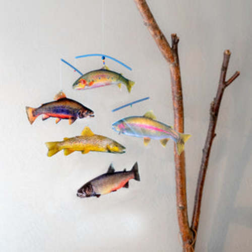 The Trout Mobile – Trout and Company