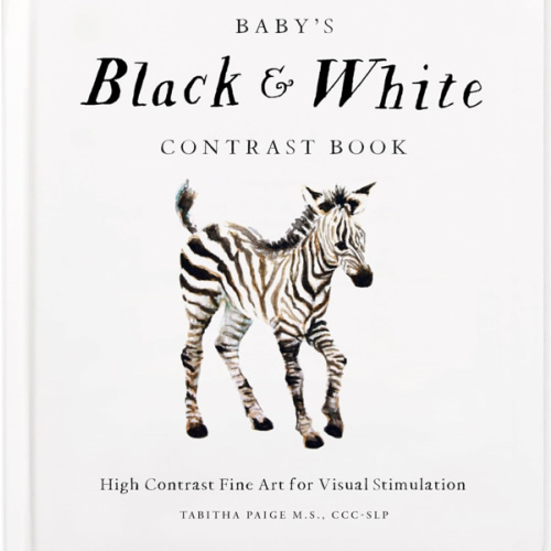 Baby's Black and White Contrast Book: High-Contrast Art for Visual Stimulation at Tummy Time (Our Little Adventures Series)