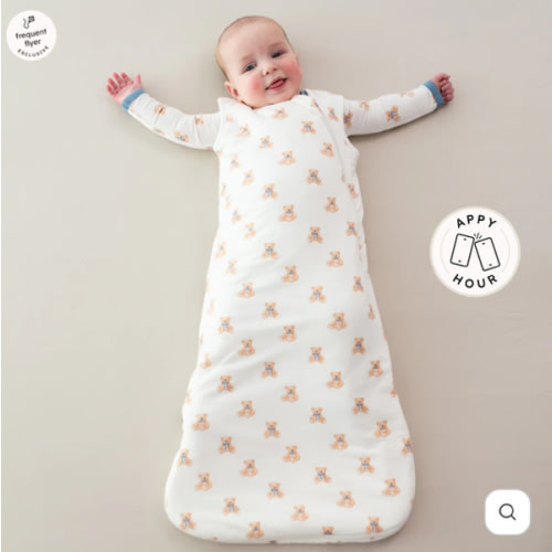 Sleep Bag in Teddy Bear 1.0