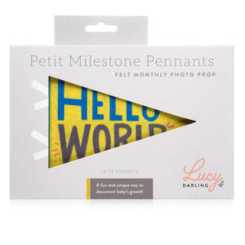 Lucy Darling Petit Milestone Pennant: Little Kaleidoscope – Growing Tree Toys