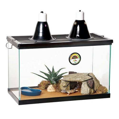 ZILLA Desert Reptile Terrarium Starter Kit with Light and Heat, 10-gal - Chewy.com