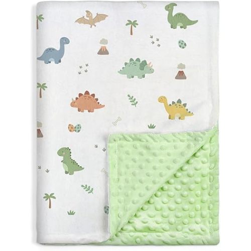 SANDJEST Dinosaur Minky Blanket 30 x 40 Inches, Gift for Christmas Birthday