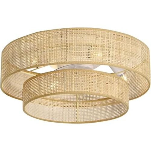 20" Boho Bamboo Small Caged Wicker Rattan DC Low Profile Flush Mount Ceiling Fans with Lights and Remote Control,Enclosed Bladeless Fandalier for Bedroom Kitchen