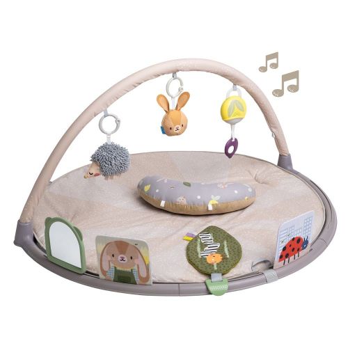 Taf Toys Tummy Time Activity Gym