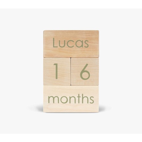 Modern Blocks Milestone Block Set