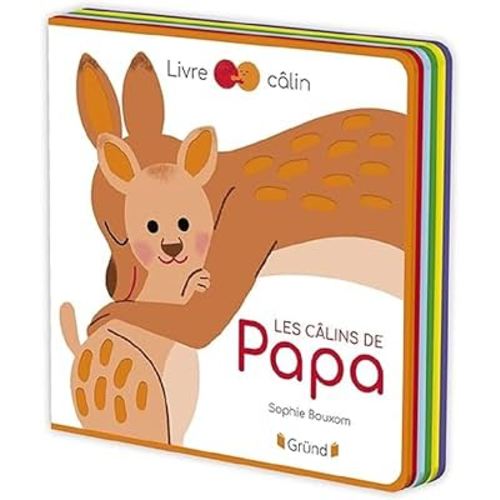 LIVRE CALIN : LES CALINS DE PAPA