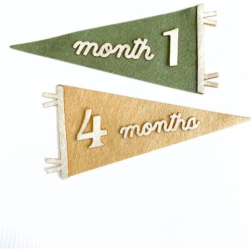 Pennant Flag Milestone Set, Newborn Growth,Pennant Flag Baby Sign, photo Prop, newborn sign, gift newborn