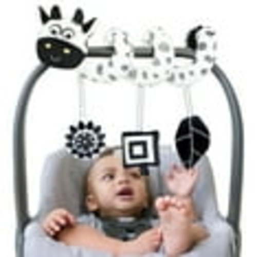 Baby Car Seat Toys, Stretch & Spiral Activity Toy, Black & White Toys for Infant, Sensory Exploration and Engagement Toy, Stroller Toys for 0-12 Months Baby Ideal Gift with BB Squeaker Rattles
