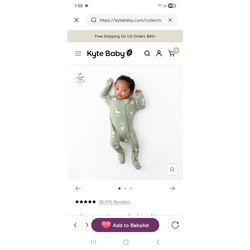 Zippered Footie in Silly Goose