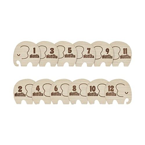 Kate & Milo Wooden Milestone Props, Baby Monthly Photo Discs, Newborn Keepsake Photos, New and Expecting Parents Gift, Elephant