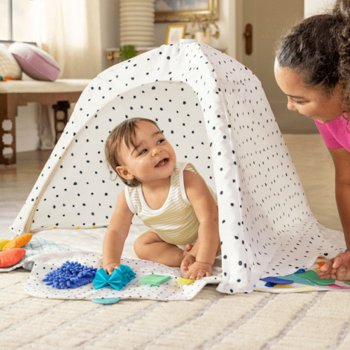 The Play Gym