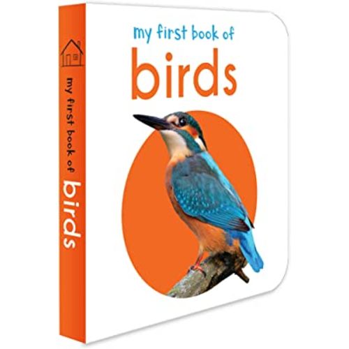 My First Book of Birds