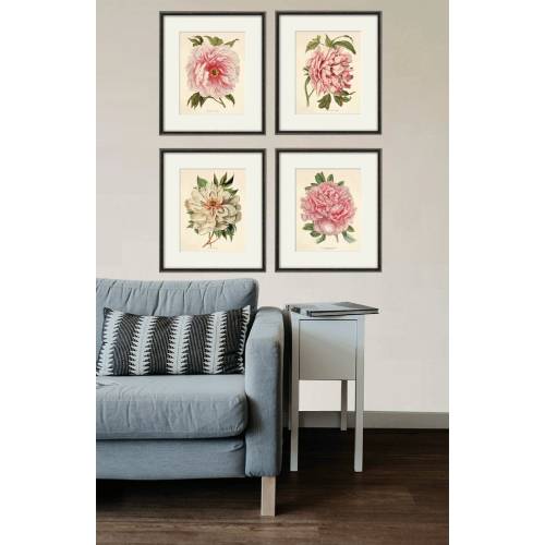Pink peony art antique flower art print antique wall art vintage Flower decor botanical prints Garden print Victorian print home decor art