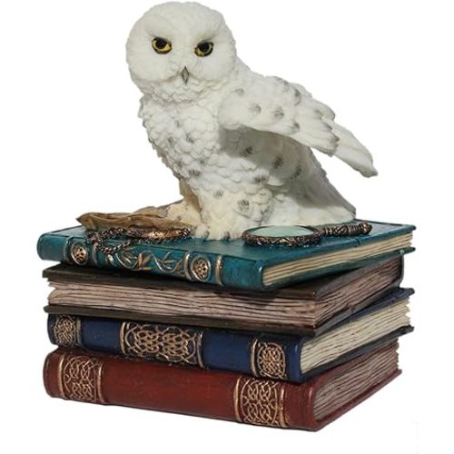 US 4.75 Inch Snow Owl Flap Wings on Books Trinket Box, White Color