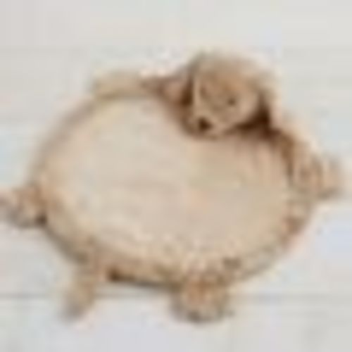 Labradoodle Play Mat