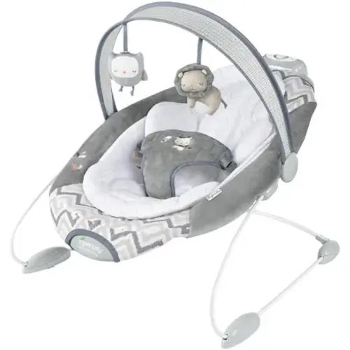 Ingenuity smart bounce