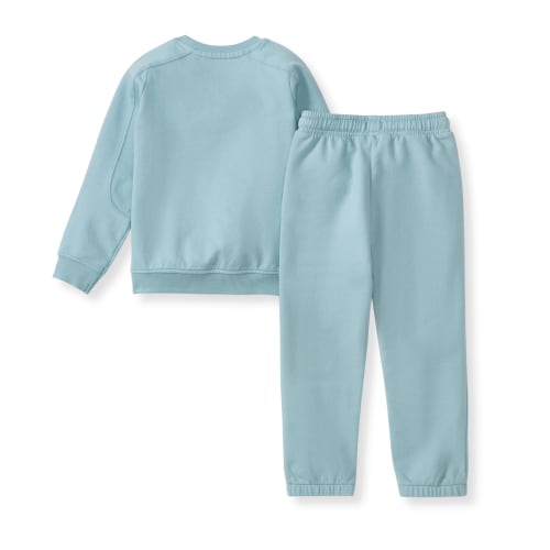 Seamed Organic Blue Sweatshirt & Pants Set – Burt's Bees Baby