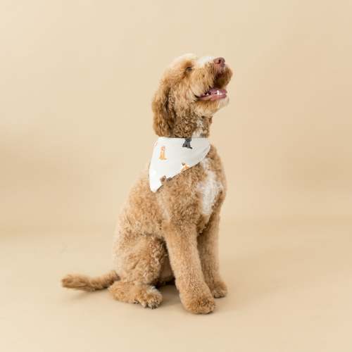 Dog Bandana in Fluffy Dog
