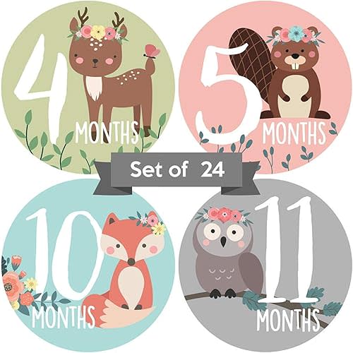 Baby Monthly Stickers - Set of 24 - Floral Woodland Animal Baby Girl Milestone Stickers - Monthly Milestones for Newborn Girls - Pink Green & Blue Floral Woodland Animal Creatures Design (Set of 24)