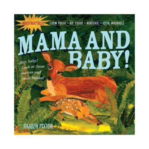 Indestructibles: Mama And Baby! - By Kaaren Pixton (paperback)