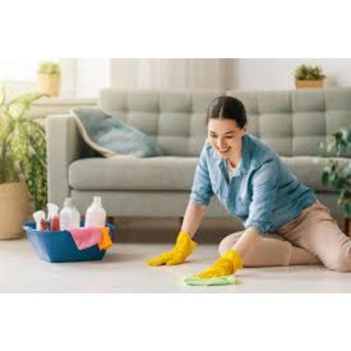 House Cleaner Fund